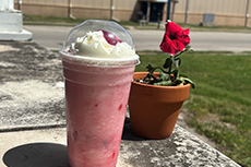 Iced Lavender Latte Spring Fling Monster Kiwistrawberry